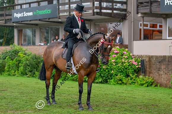 The Prenetics Royal International Horse Show