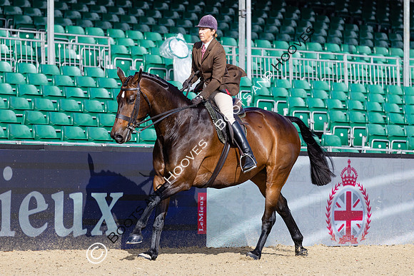 Royal Windsor Horse Show
