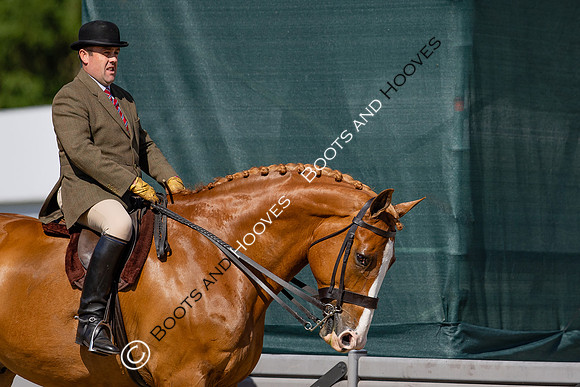Royal Windsor Horse Show