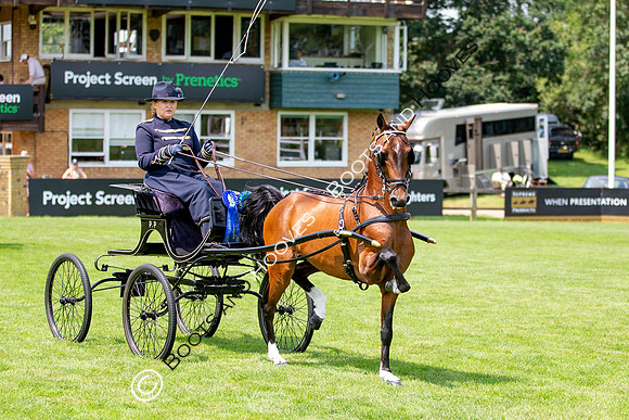 The Prenetics Royal International Horse Show