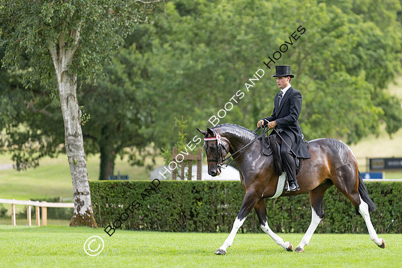 The Royal International Horse Show