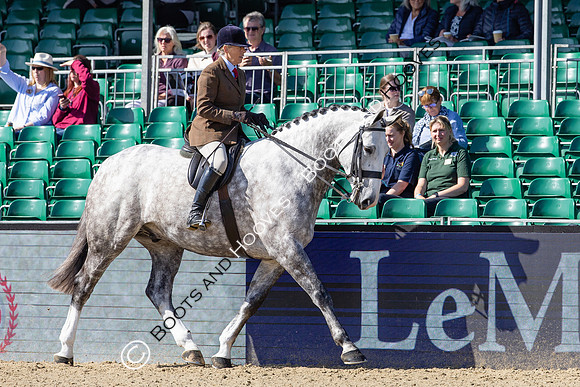 Royal Windsor Horse Show