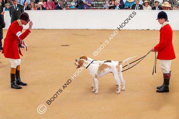 Festival of Hunting