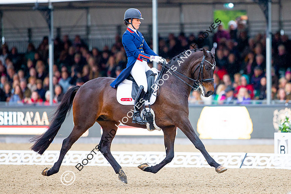 Royal Windsor Horse Show