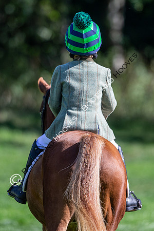 Science Supplements All England Jumping Championships