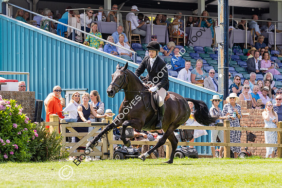 The Agria Royal International Horse Show