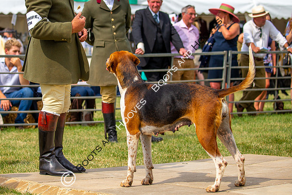 Festival of Hunting