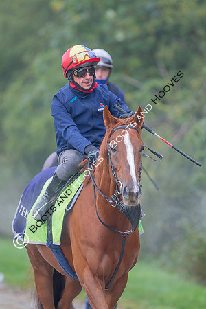 Newmarket