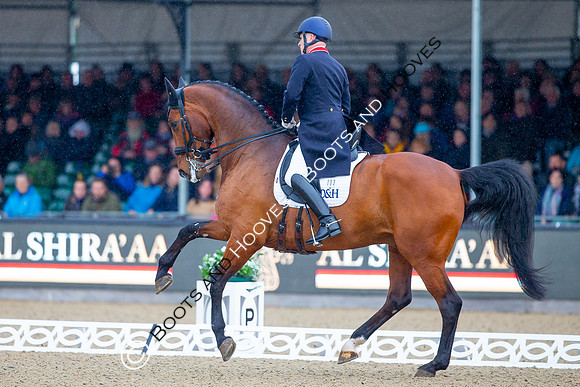 Royal Windsor Horse Show