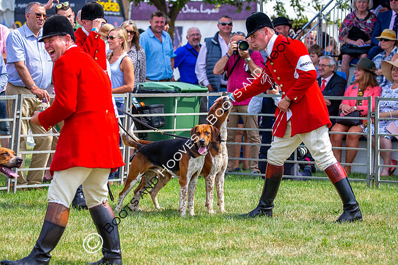 Festival of Hunting
