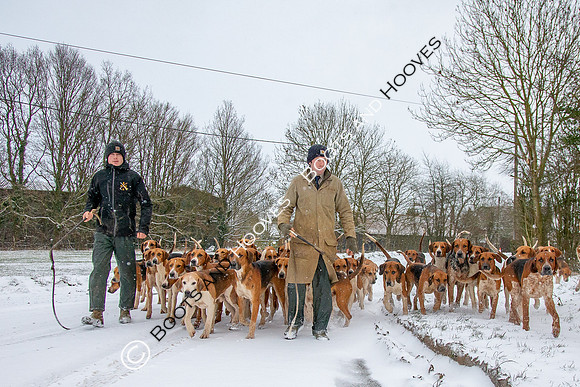 Hound Exercise