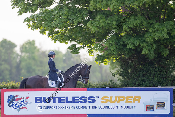 I.C.E Horseboxes All England Dressage Festival