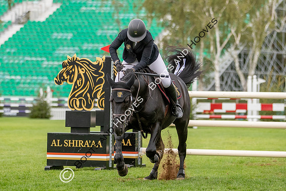 Science Supplements All England Jumping Championships