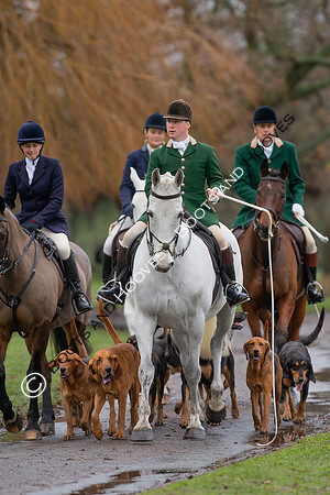 Bloodhounds