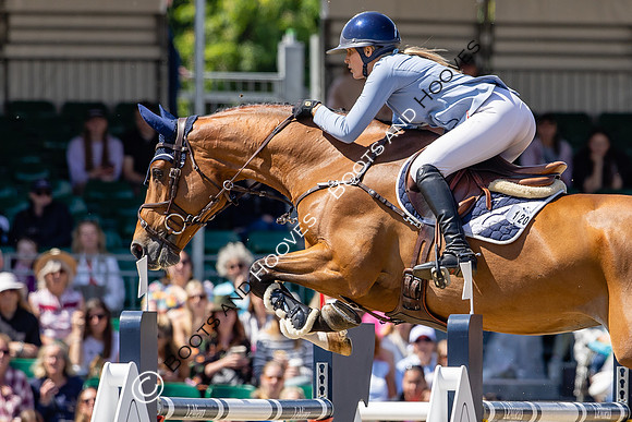 Royal Windsor Horse Show