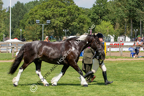 The Prenetics Royal International Horse Show