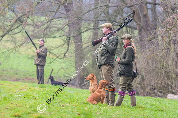 Dines Hall Game Shoot. 23/01/2019 ~ MANDATORY Credit Nick Gunn/Bootsandhooves - NO UNAUTHORISED USE - 07745 909676