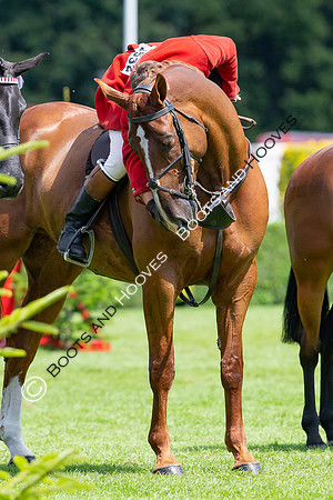 The AGRIA Royal International Horse Show