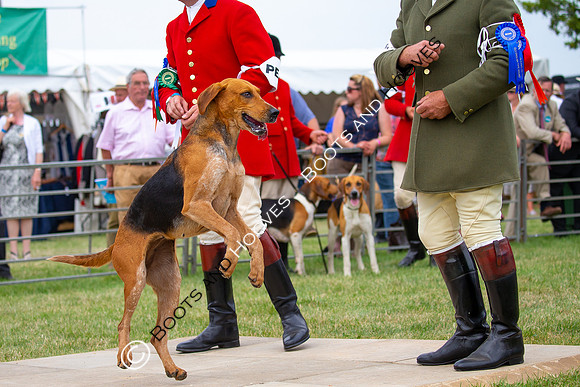Festival of Hunting