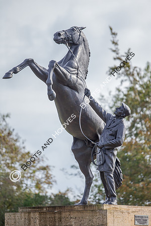 Newmarket