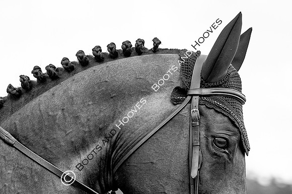 The Prenetics Royal International Horse Show