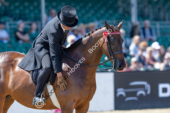 Royal Windsor Horse Show