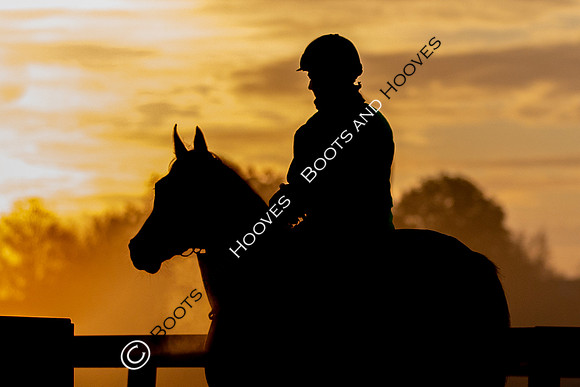 Newmarket