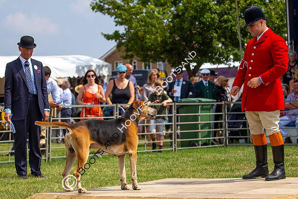 Festival of Hunting