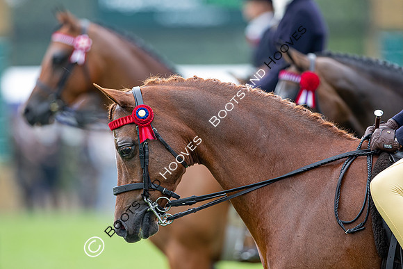 The Prenetics Royal International Horse Show