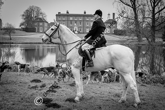Puckeridge & Essex Hunts