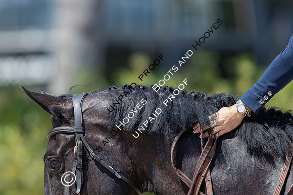 FEI Junior European Championship Young Riders, Juniors & Childre