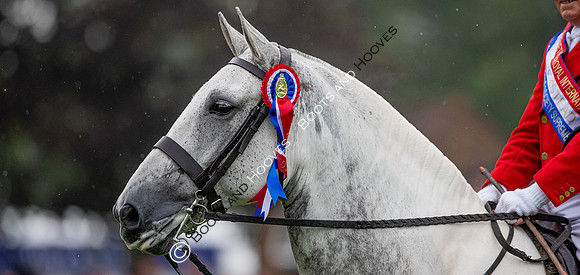 The Prenetics Royal International Horse Show