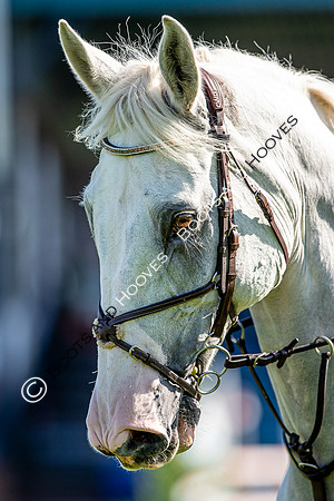 Hickstead