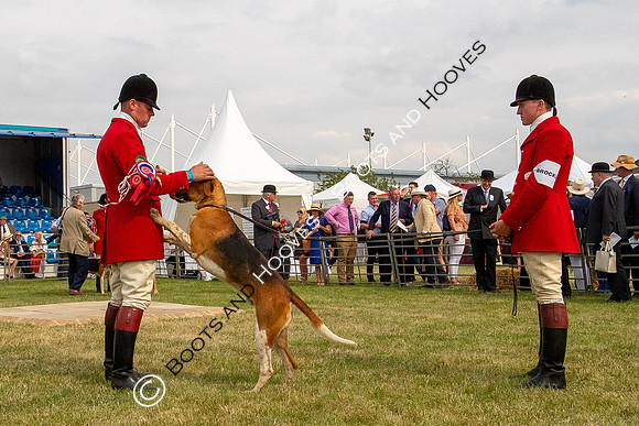 Festival of Hunting