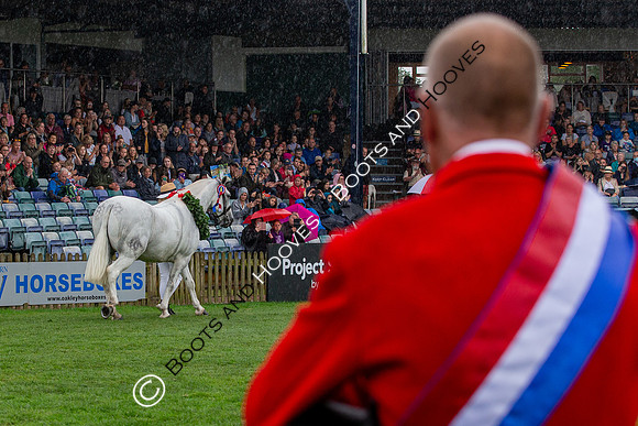 The Prenetics Royal International Horse Show