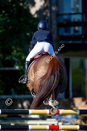 Science Supplements All England Jumping Championships