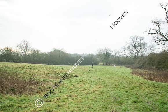 MANDATORY Credit Nick/Bootsandhooves- NO UNAUTHORISED USE - 07745909676