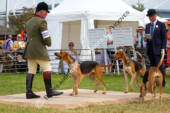 Festival of Hunting