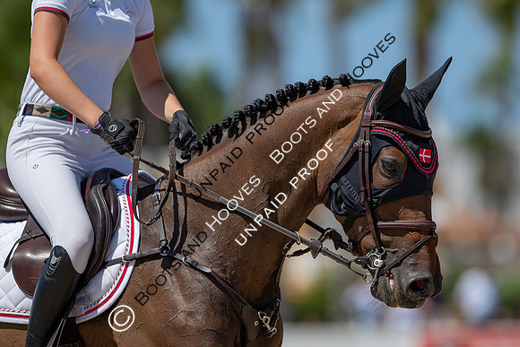 FEI Junior European Championship Young Riders, Juniors & Childre