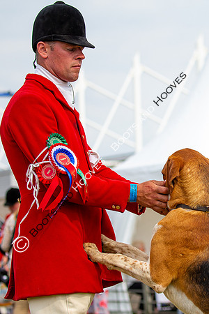 Festival of Hunting