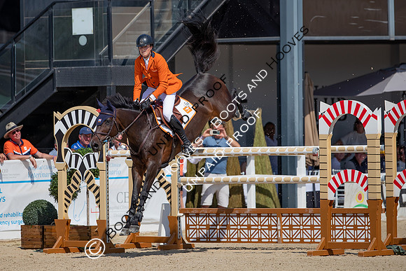 FEI Junior European Championship Young Riders, Juniors & Childre
