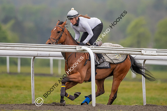 Newmarket Gallops
