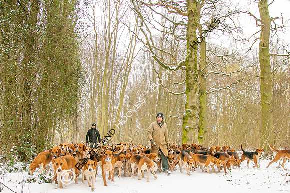 Hound Exercise