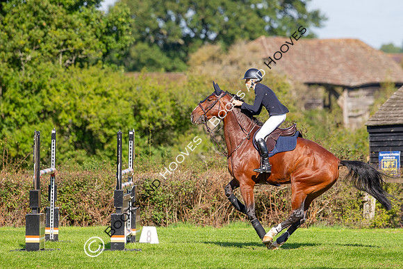 Science Supplements All England Jumping Championships