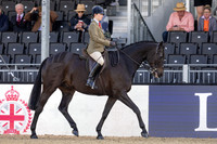 Royal Windsor Horse Show