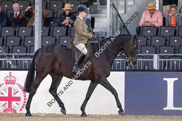 Royal Windsor Horse Show
