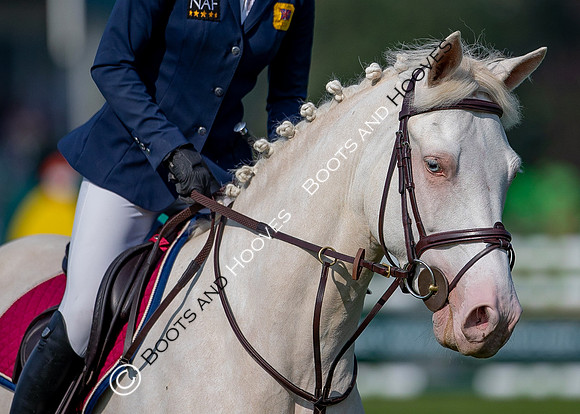 The Prenetics Royal International Horse Show