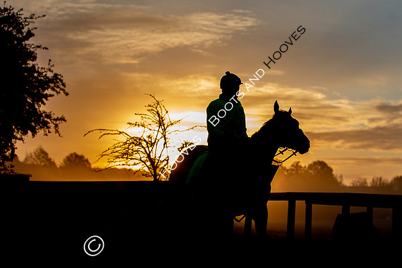 Newmarket