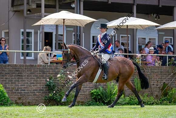 The Prenetics Royal International Horse Show