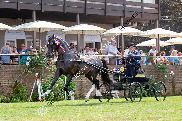The Prenetics Royal International Horse Show